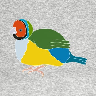 cute fat colorful finches illustrations T-Shirt